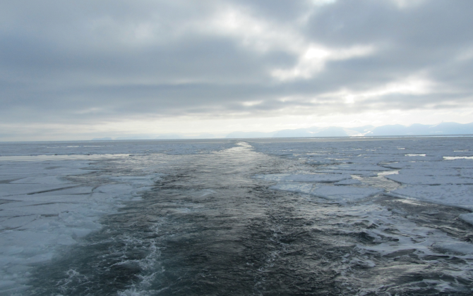 Sea Ice Dynamics