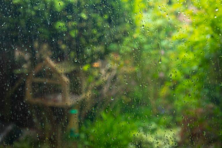 view of garden distorted by rain on a window pane