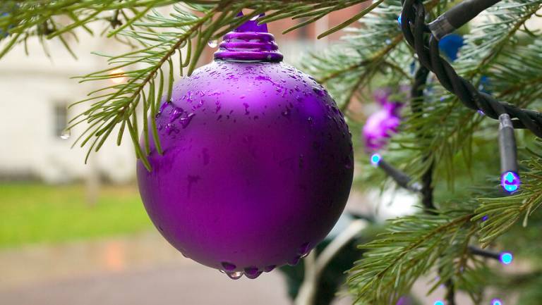 Bauble hanging in a Christmas tree