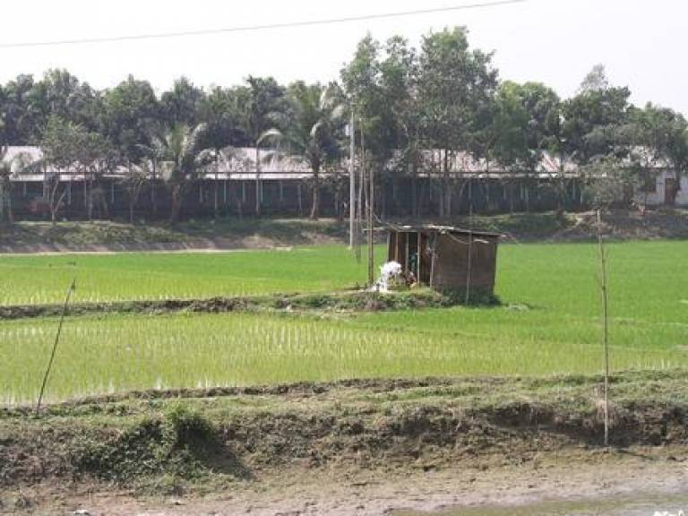 Groundwater fed irrigation in Bangladesh
