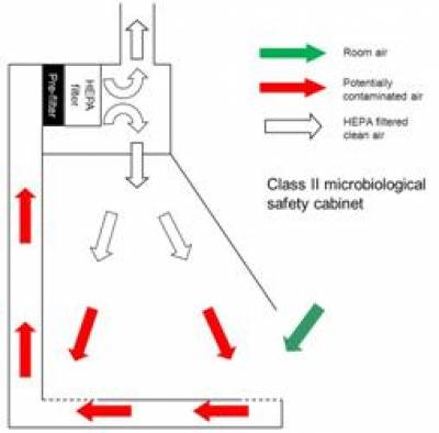 Microbiological Safety Cabinets Safety Services Ucl