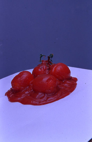 Buddle - Tomato Reform