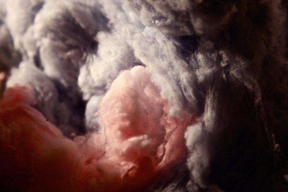 <p>Plush Storm, 2013, photographic print, dimensions variable</p>
