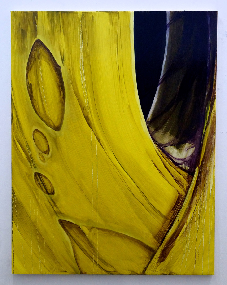 <p>Yellow Pore, 2012, oil on canvas, 140 x 180 cm</p>