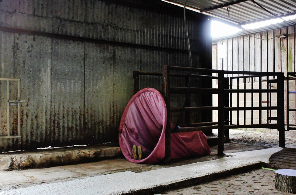 <p>Untitled (Mis en abyme) still from performance, 2012, fabric, plastic, performer, French Horn, print:  420 x 297 mm</p>