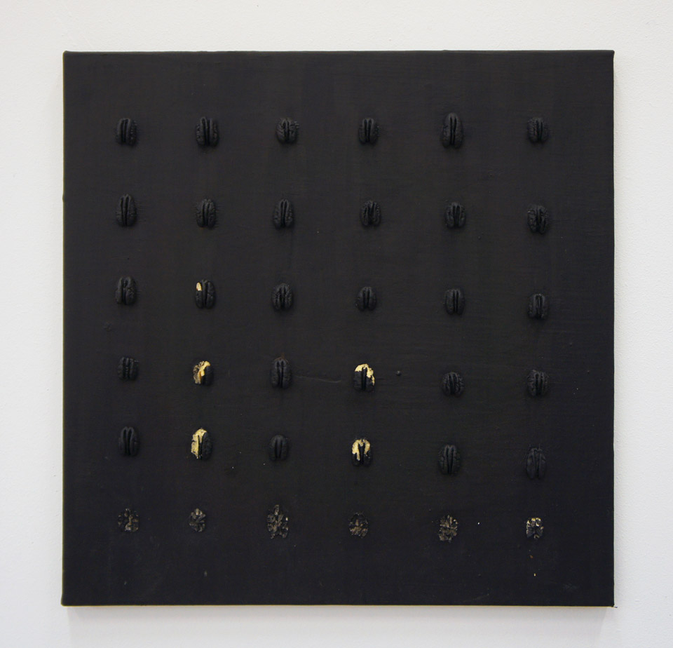 <p>Untitled, 2013, acrylic, pecan, adhesive,  50 x 50 cm</p>