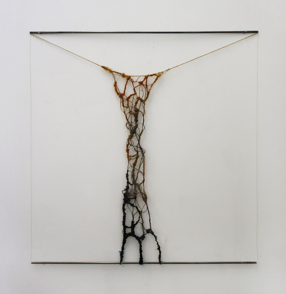 <p>Fringe, 2013, mixed media, 100 x 110 cm</p>