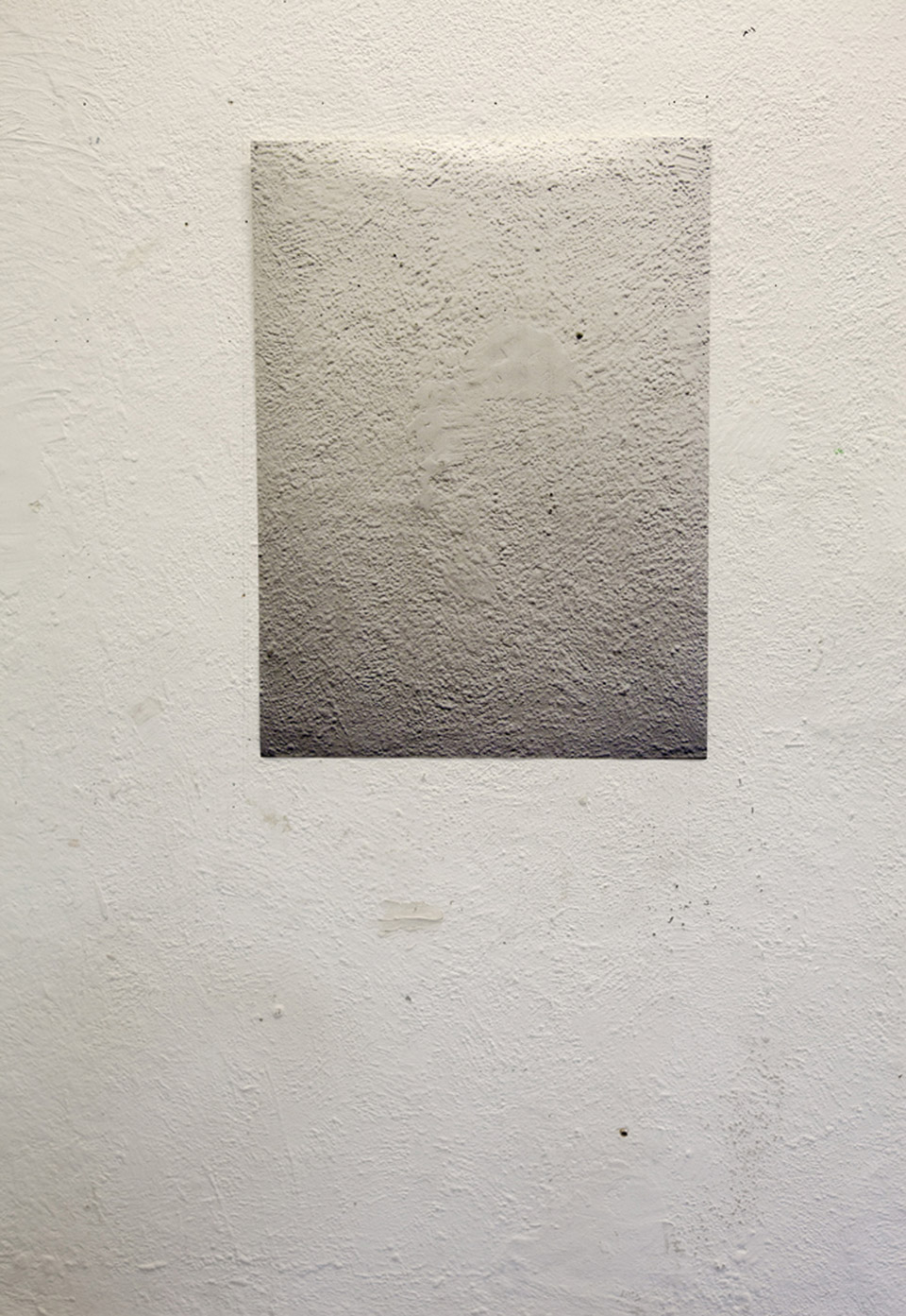 <p>Walp, 2012, inkjet print on Tyvek, 84.1 x 59.4 cm</p>