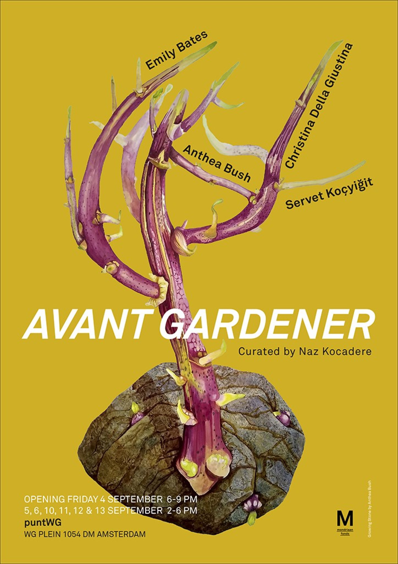 Avant Gardener - Punt WG
