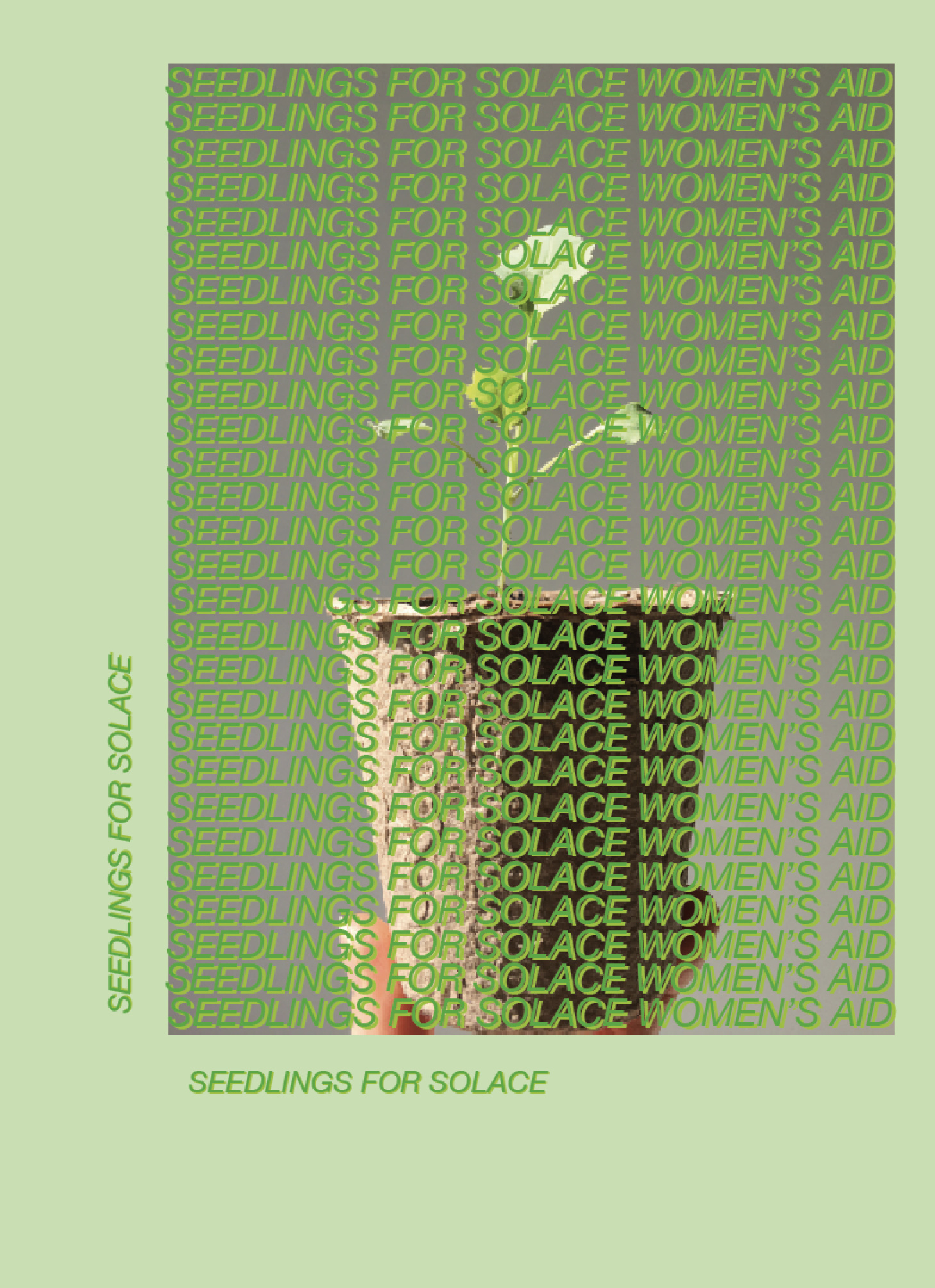 Seedlings for Solace