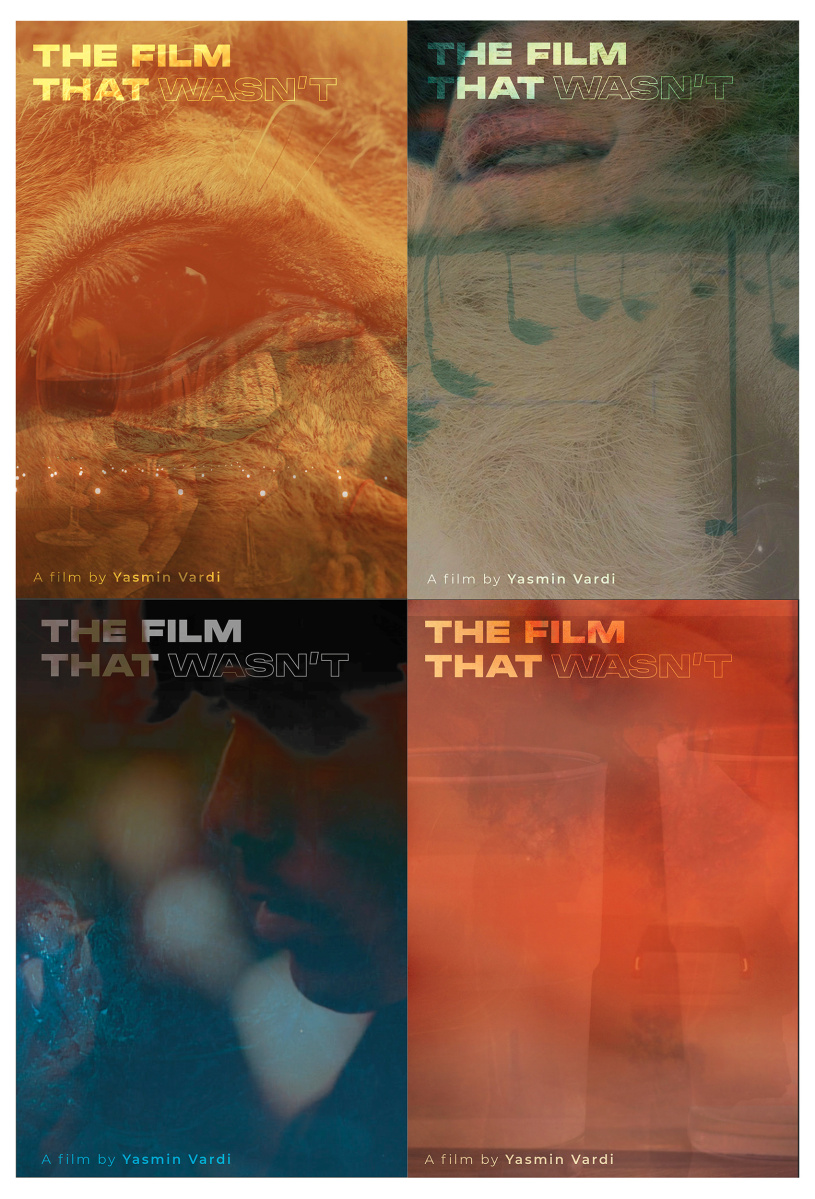 Film Posters, (The Film That Wasn't)