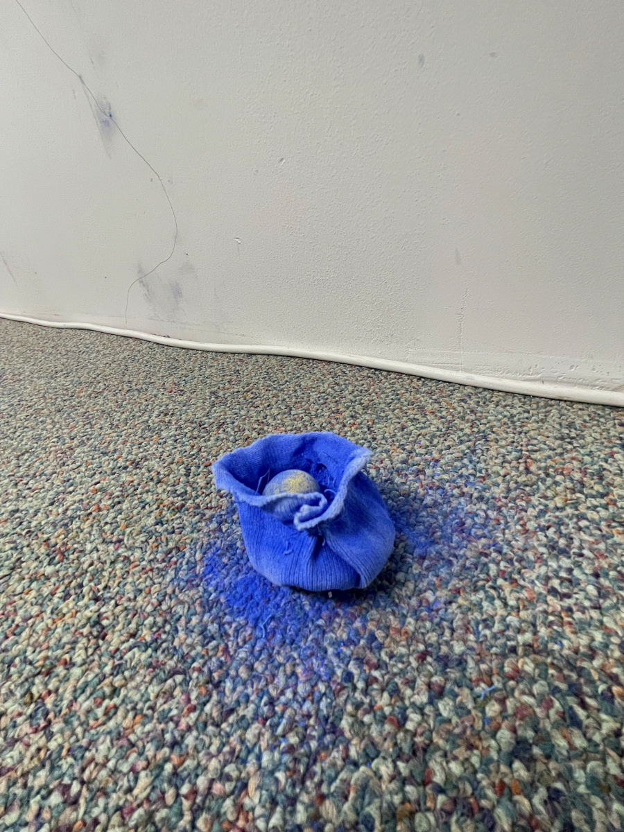Blue flower on carpet