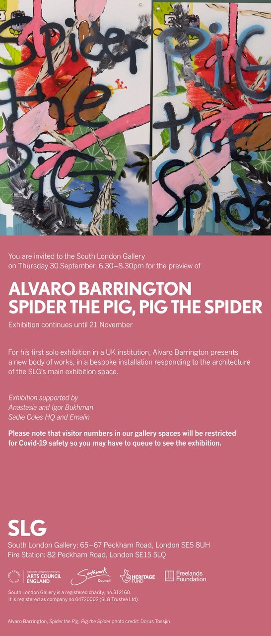 Flyer: Alvaro Barrington: Spider the Pig, Pig the Spider