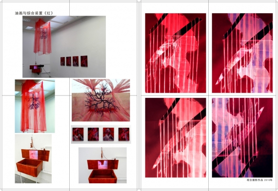 Red, paintings, conceptual photography, sculpture &amp; video installation