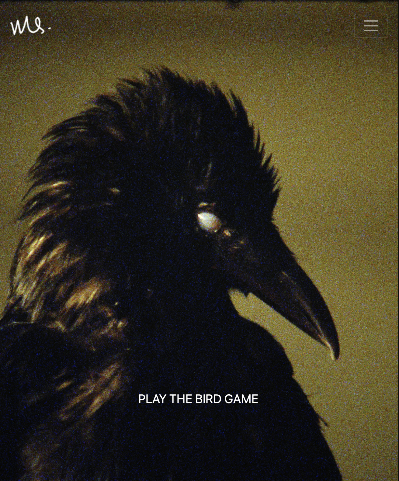 The Bird Game and Confessions of a Crow - FVU