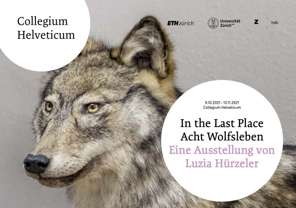 In the Last Place: Acht Wolfsleben - Collegium Helveticum