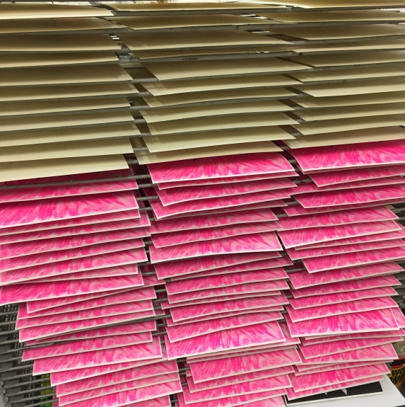 Paper drying on racks