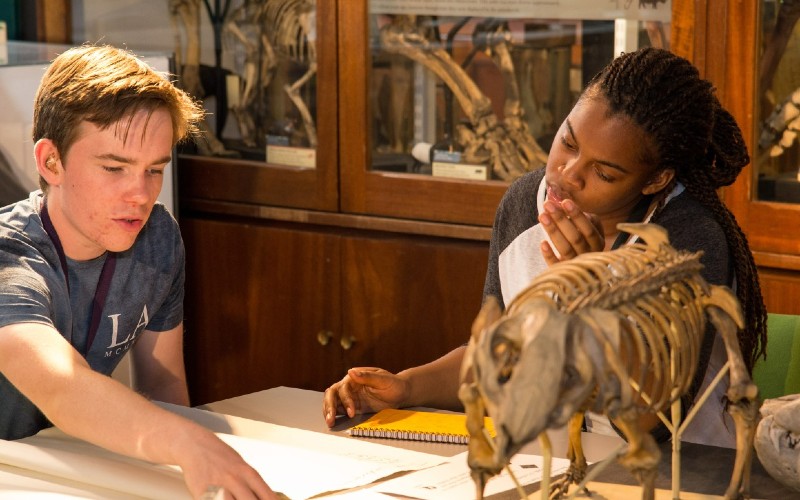 Image of two students looking at an animal skeleton in a museum setting