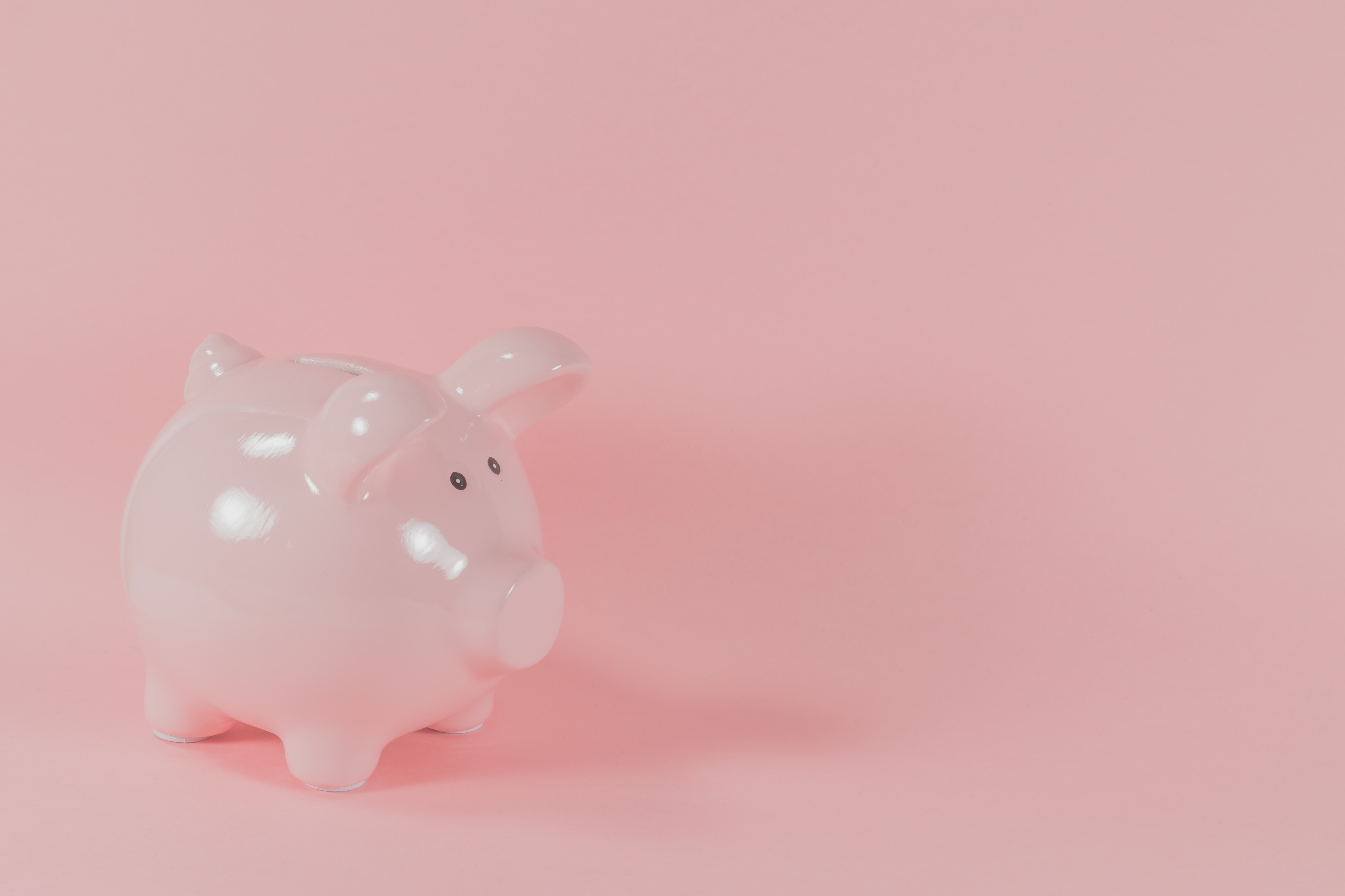 Pink pig figuring on pink background