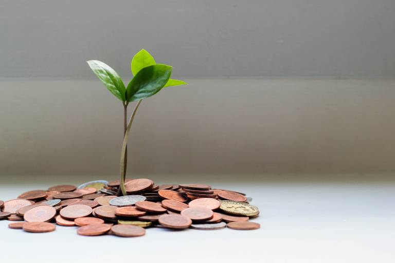 Plant seedling growing out of a pile of coins