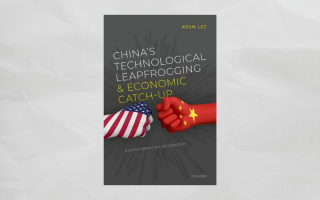 Book cover of China's Technological Leapfrogging and Economic Catch-up: A Schumpeterian Perspective