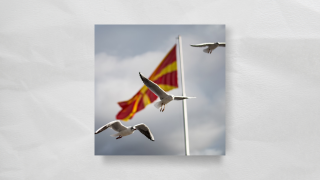 Birds flying over the Macedonian flag