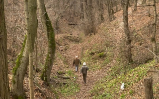 People walking through the forest in Ukraine