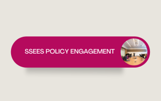 SSEES Policy engagement