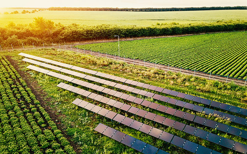 Aerial view of solar panels in a field 