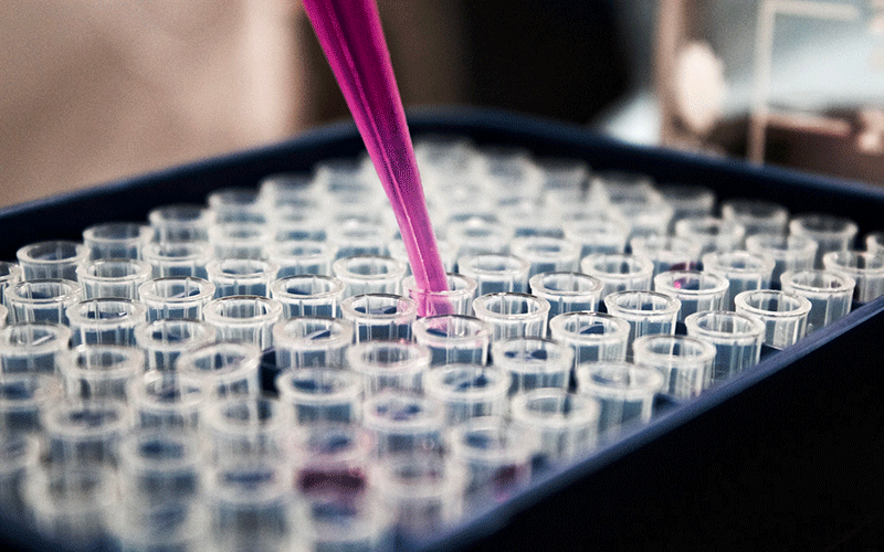 Pink pipette being used over tray of test tubes