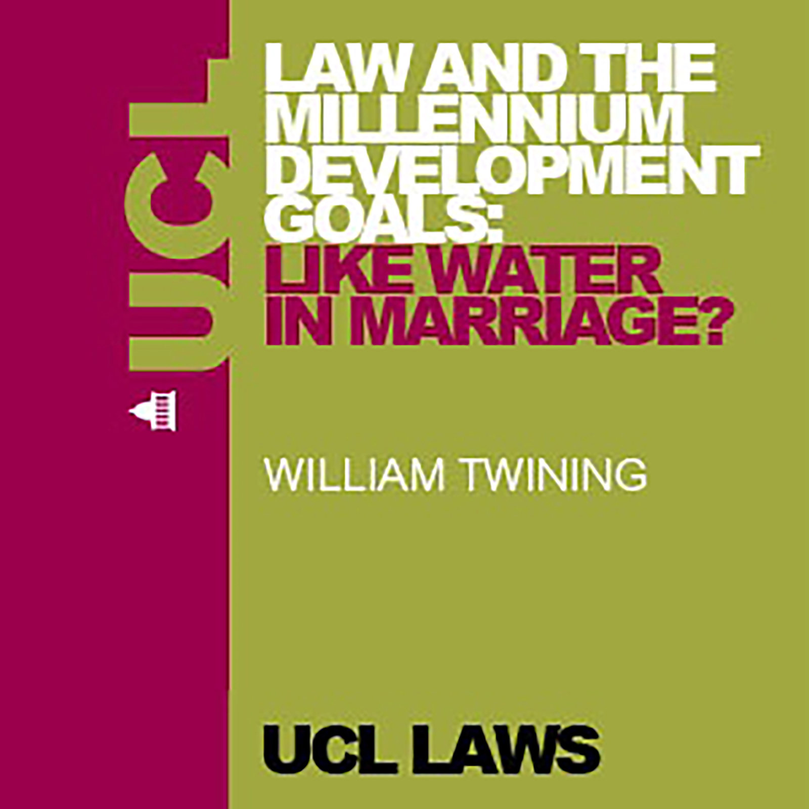 Law and the Millennium Development Goals: Like Water in Marriage? - Video
