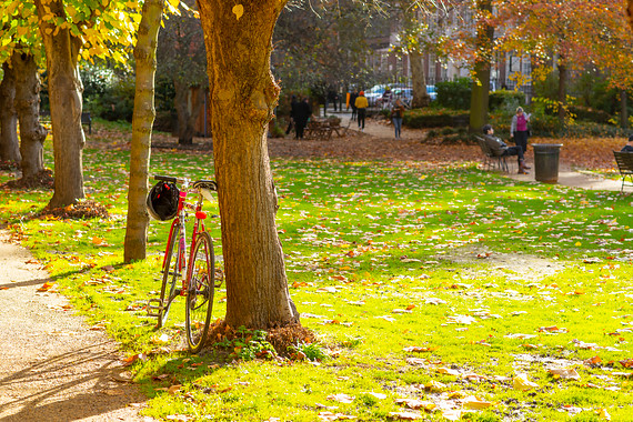Gordon sq with a bike propped against a tree