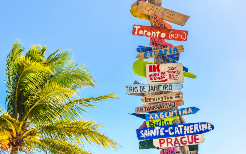 A signpost next to a palm tree, pointing to several different world cities