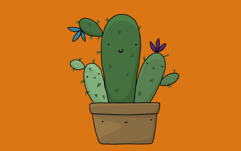 Illustration of cactus