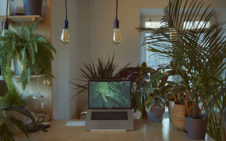 A desk with a laptop, surrounded by plants