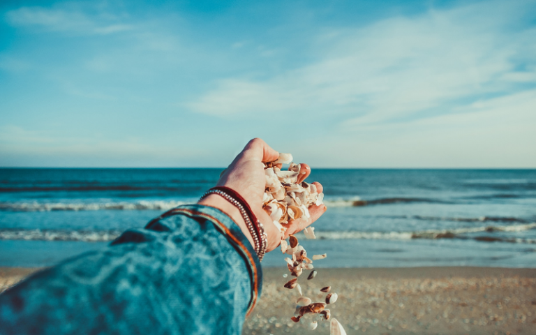 girl holding shells at beach
