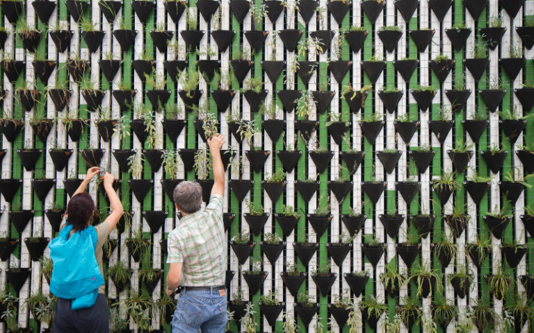 Two people planting plants in a vertical garden