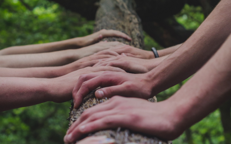 Several pairs of hands on a tree trunk for a team building activity