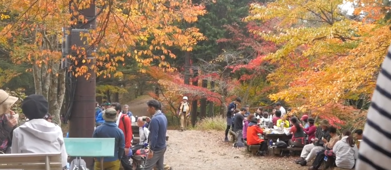 japan-autumn-forest