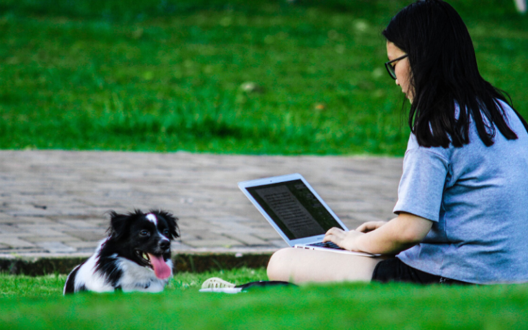 Girl on laptop in the park with her dog