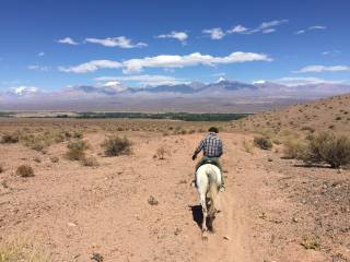 horse-in-front-of-andes.