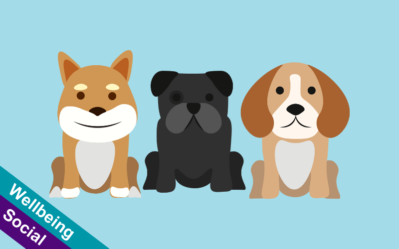 Animated image of three dogs