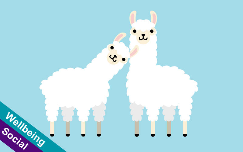 Animated image of two alpacas
