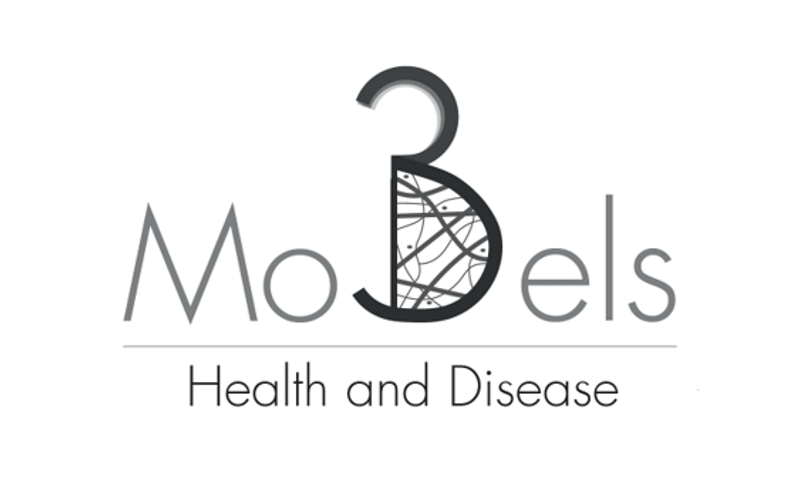 A logo with stylised text: 3D Models, Health and Disease