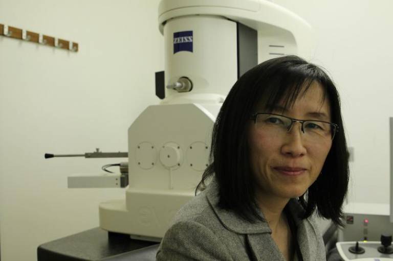 Dr Wenhui Song