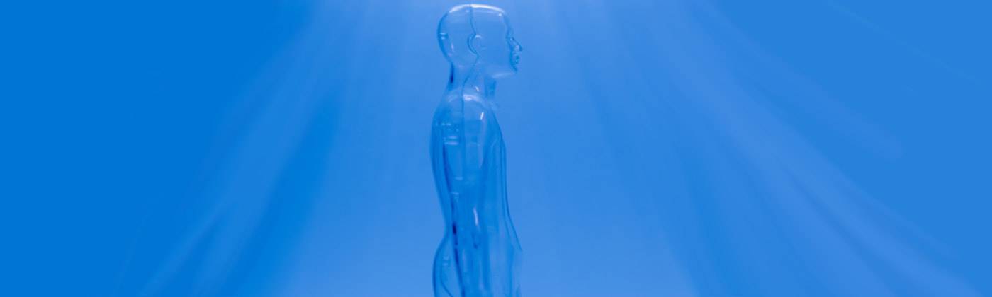 Transparent human body model against a blue sky background