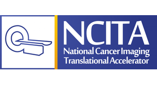 NCITA logo