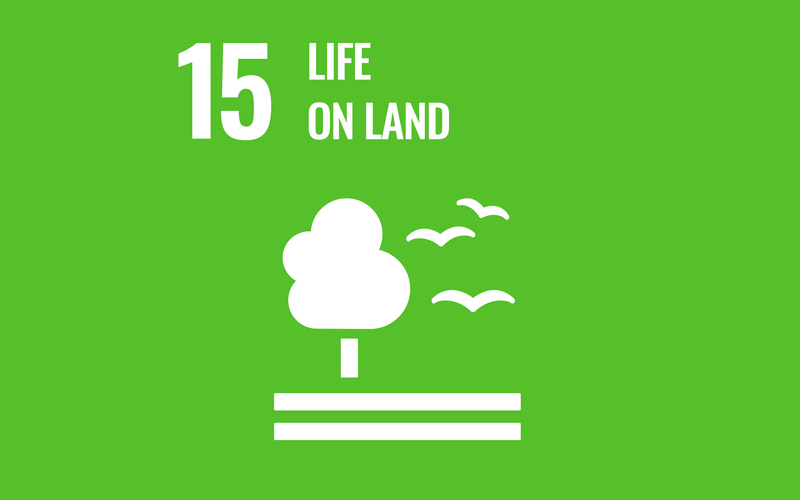 SDG Goal15