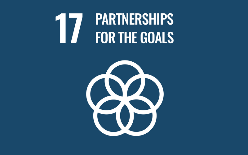 SDG Goal17
