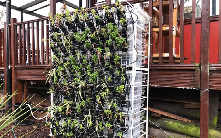 An image of a structure generating electricity from food waste in a London community garden 